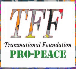 Logo of Transnational Foundation